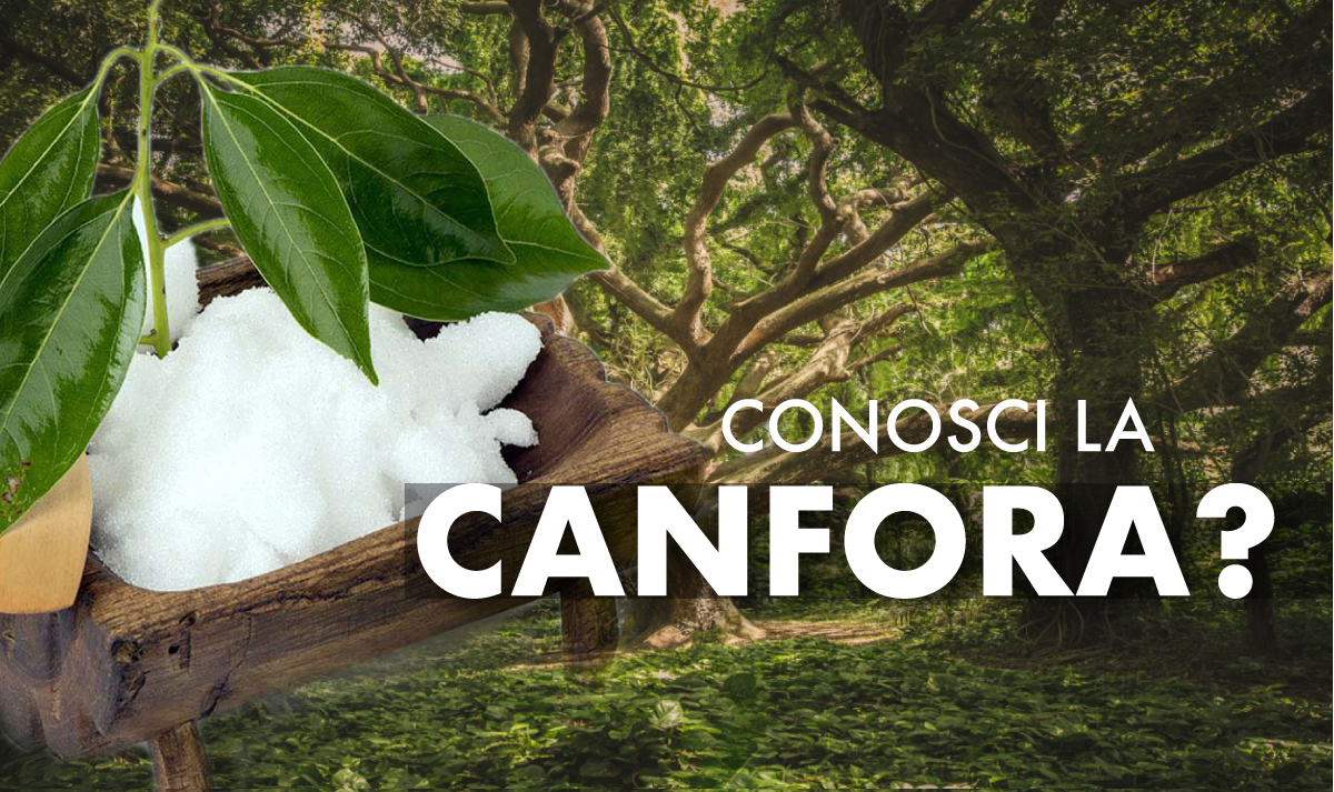 olio di canfora a cosa serve